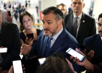 Cruz ‘cannot support’ Trump’s Kuwait ambassador pick over Muslim Brotherhood remarks