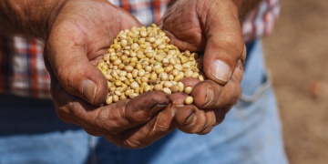 America’s quietest crop is set to take center stage in Trump-Xi talks