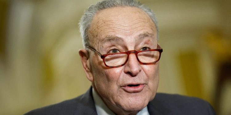 DAVID MARCUS: How Chuck Schumer finally reaped the whirlwind