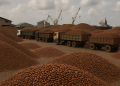 What’s driving the sudden cocoa pile-up at Ivory Coast’s busiest ports?