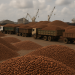 What’s driving the sudden cocoa pile-up at Ivory Coast’s busiest ports?