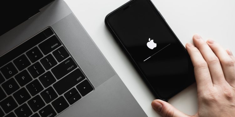 Apple Q1 earnings preview: Wedbush continues to see AAPL as ‘top pick’